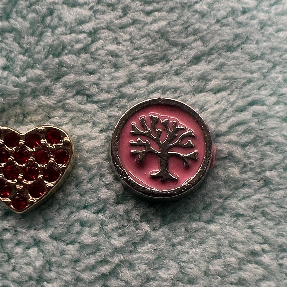 Floating Locket Charms - Picture 4 of 4